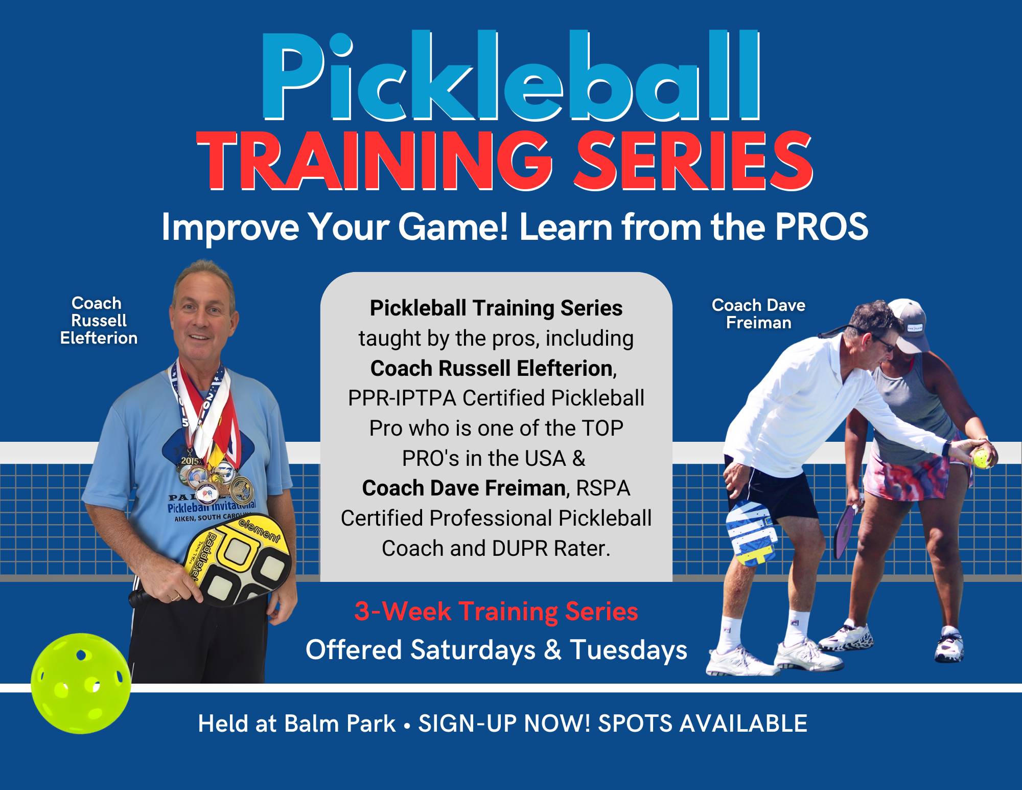 Pickleball Lesson Banner